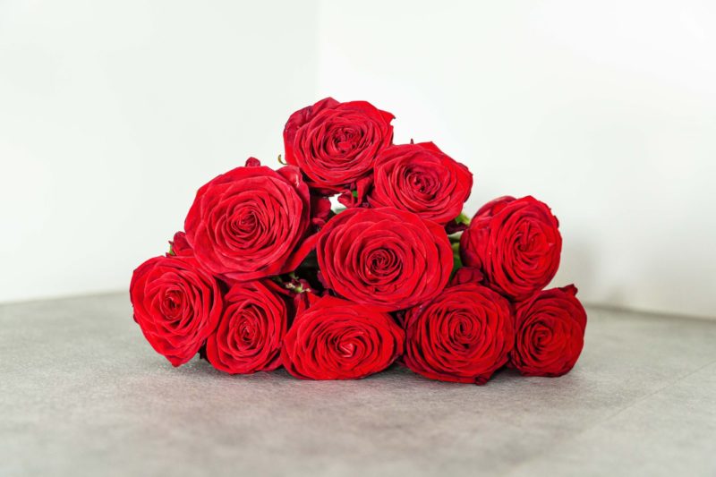 Labour roses